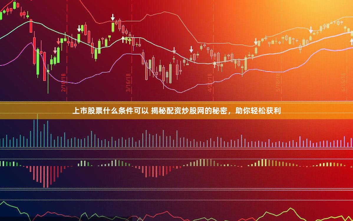 上市股票什么条件可以 揭秘配资炒股网的秘密，助你轻松获利