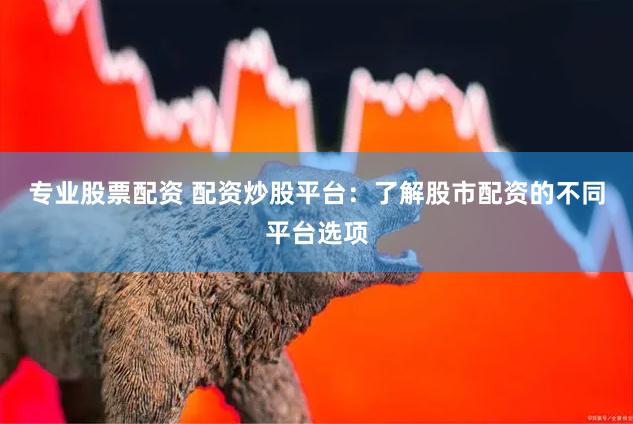 专业股票配资 配资炒股平台：了解股市配资的不同平台选项