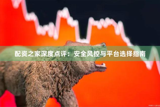 配资之家深度点评：安全风控与平台选择指南