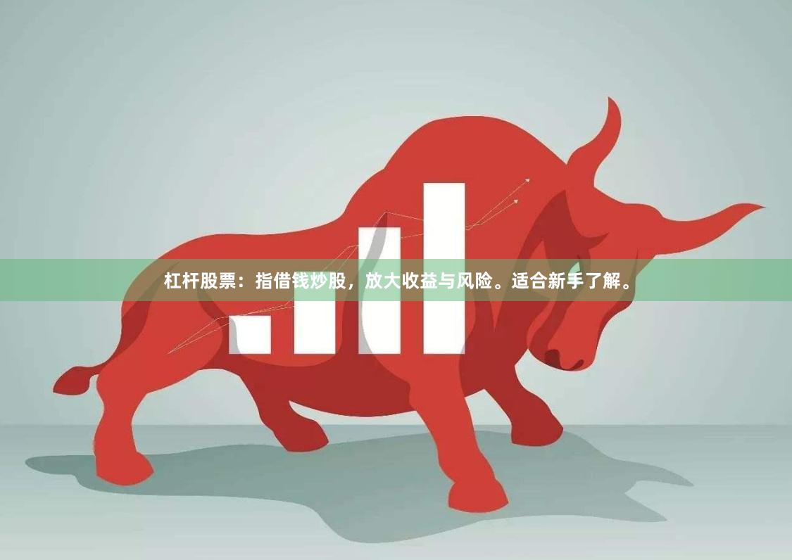 杠杆股票：指借钱炒股，放大收益与风险。适合新手了解。