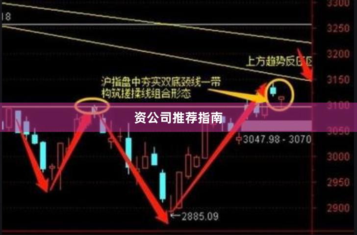资公司推荐指南