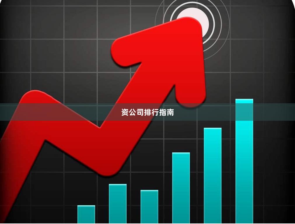 资公司排行指南