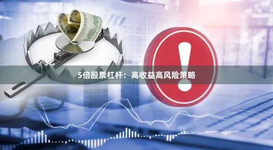 5倍股票杠杆：高收益高风险策略