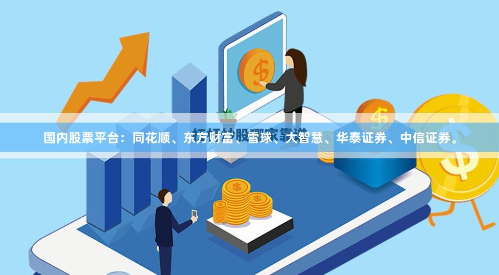 国内股票平台：同花顺、东方财富、雪球、大智慧、华泰证券、中信证券。