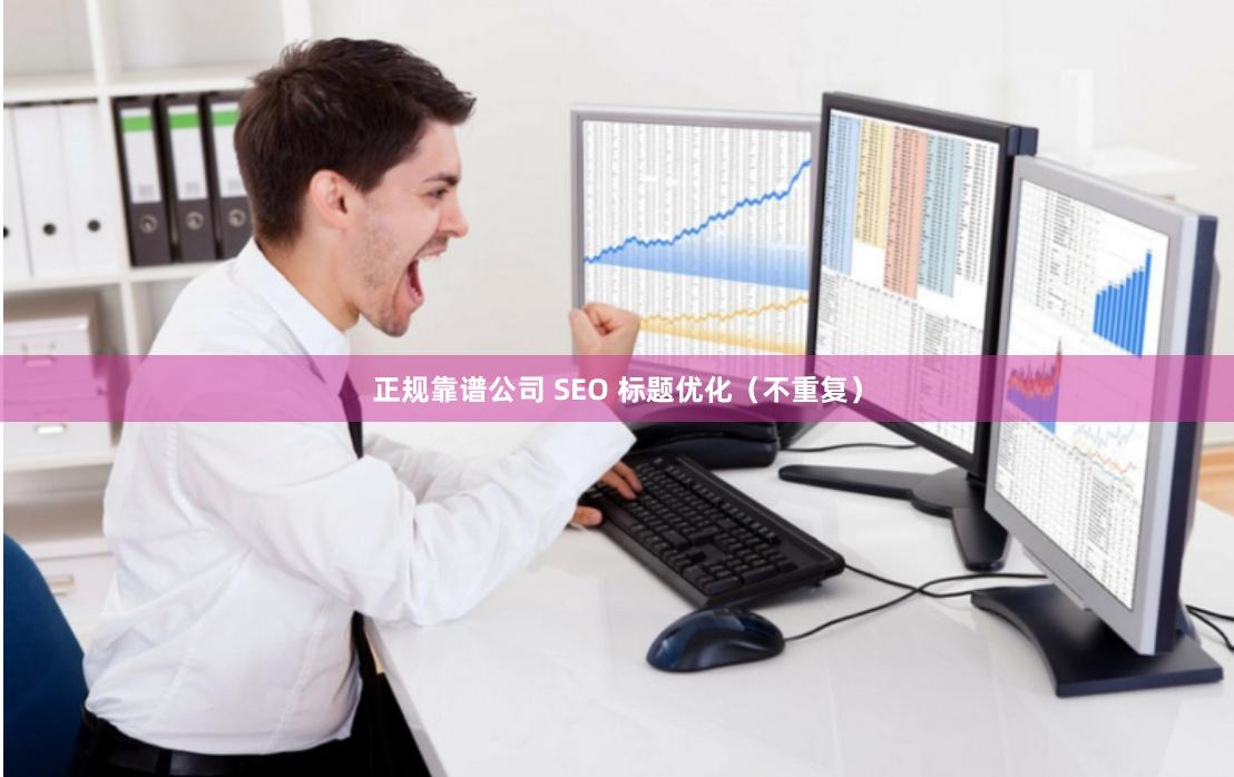 正规靠谱公司 SEO 标题优化（不重复）