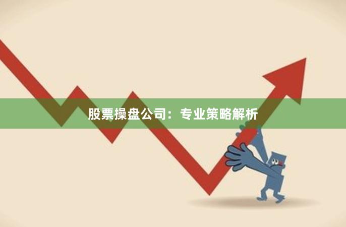 股票操盘公司:专业策略解析